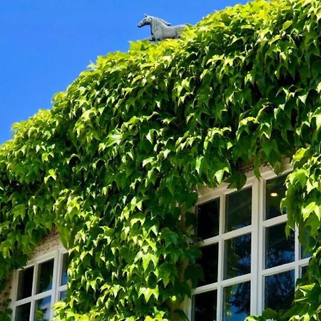 Apartment Gaestehaus Schloss Bothmer Schwarmstedt Εξωτερικό φωτογραφία