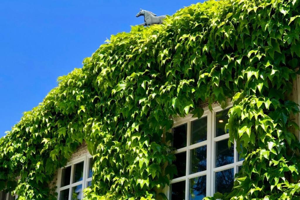 Apartment Gaestehaus Schloss Bothmer Schwarmstedt Εξωτερικό φωτογραφία